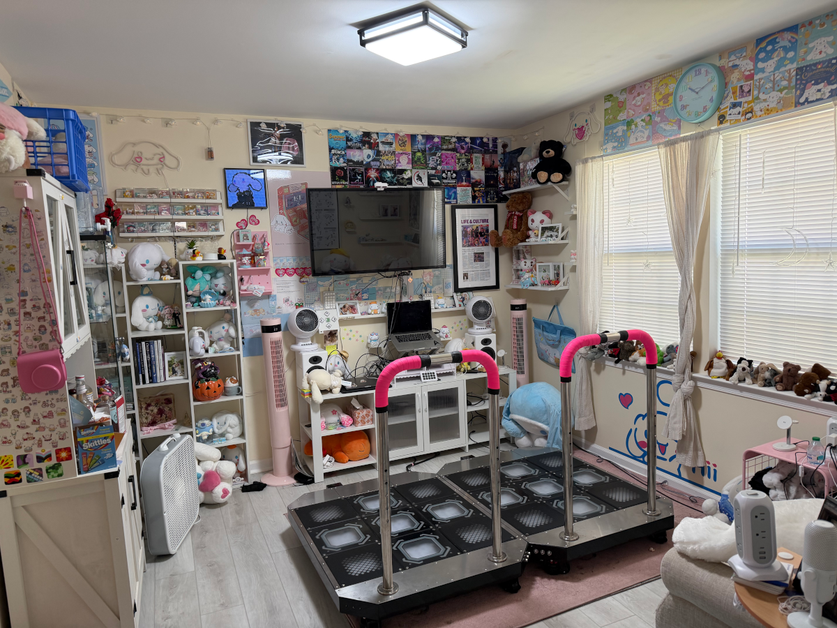 Cinnamoroll DDR room