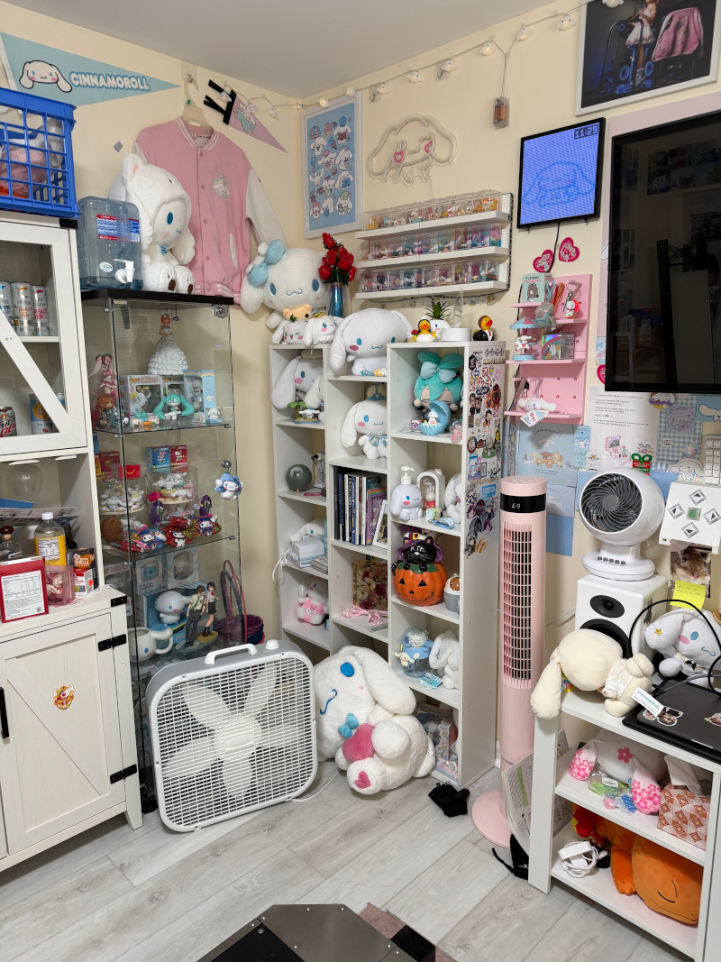 Cinnamoroll DDR room