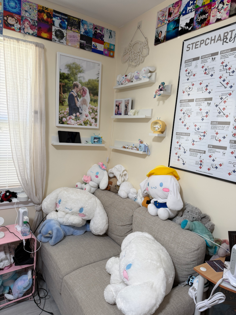 Cinnamoroll DDR room